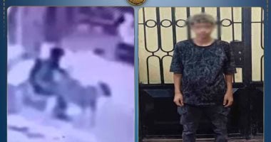 الداخلية تضبط المتهم بالتعدي على كلب في المنوفية