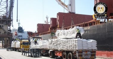 مجلس الوزراء يرصد استمرار النشاط التشغيلي بميناء دمياط بكفاءة كاملة