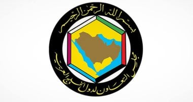 مجلس التعاون الخليجي يدين استهداف ميناء دمياط.. ويؤكد: نقف مع مصر (فيديو)