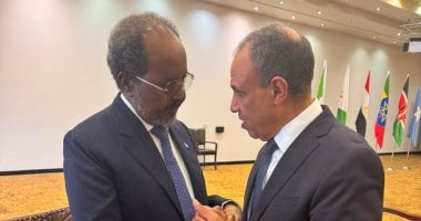 خلال لقائه الرئيس الصومالي.. وزير الخارجية يؤكد دعم مصر الكامل لسيادة الصومال