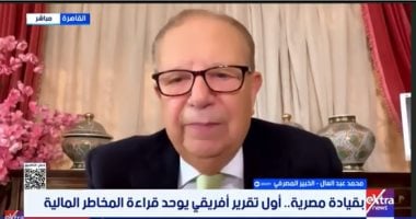 خبير مصرفي: تقرير الاستقرار المالي يعزز ثقة المستثمرين بأفريقيا