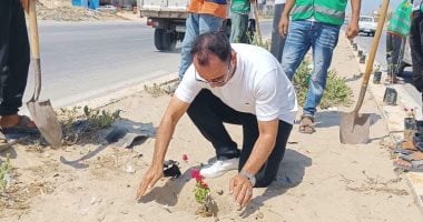 مبادرة لتشجير وتجميل الشيخ زويد ضمن المبادرة الرئاسية 100 مليون شجرة.. صور