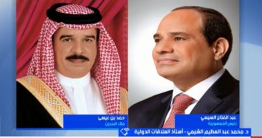 أستاذ علاقات دولية: الدبلوماسية المصرية تسعى لمنع توسع الصراع الإيراني