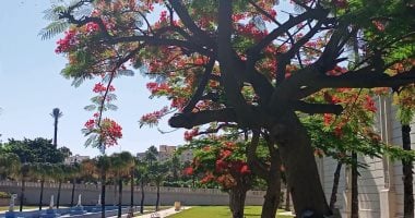 الإسكندرية مش بس بحر.. أماكن خروجات فى عروس البحر المتوسط.. أنطونيادس عالم تانى وحديقة الحيوان مطلب أساسى لاعتبارها أرخص فسحة.. وقلعة قايتباى تتألق بعرض الصوت والضوء.. وأكلة الآيس كريم والاستمتاع بالكورنيش..صور