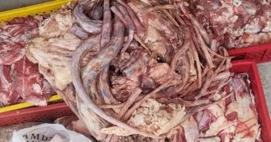 محافظ الدقهلية الطب البيطري يضبط 1.5 طن لحوم مجمدة ودهون غير صالحة