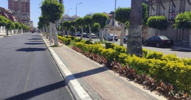بورفؤاد تواصل التطوير.. رفع كفاءة 51 عمارة سكنية وتطوير شارعين رئيسيين..صور