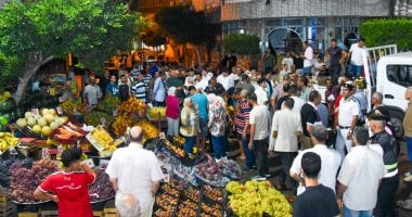 إزالة تعدٍ على حرم الطريق وضبط سرقة تيار كهربائي فى الإسكندرية