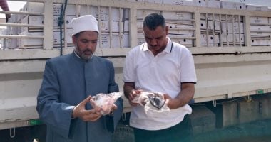 تسليم 3 أطنان لحوم من مديرية الأوقاف إلى التضامن الاجتماعى بأسوان