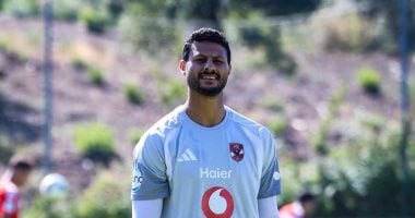مصطفى شوبير 