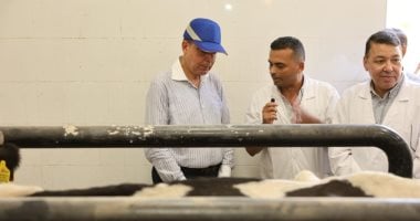 محافظ المنيا: حماية الثروة الحيوانية وتعزيز الأمن الغذائي أولوية قصوى