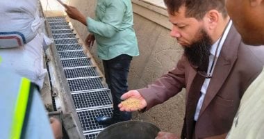 محافظ أسوان يتابع انتظام توريد القمح المحلى