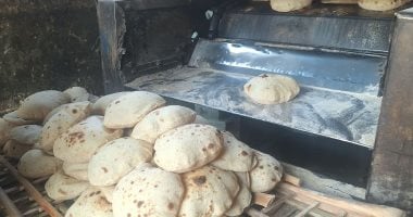 ضبط طن وربع أرز مجهول المصدر وتحرير 83 محضر مخالفة تموينية بالقليوبية.. صور