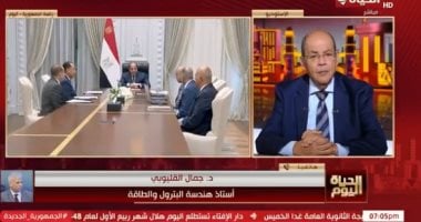 خبير لـ الحياة اليوم: مصر تتوسع فى الطاقة المتجددة لتأمين احتياجات الكهرباء