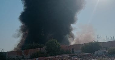 اندلاع حريق بوص وهيش بجوار حضانة سيارات فى الإسكندرية