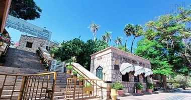 نباتات نادرة.. الحديقة النباتية التاريخية بأسوان تضم 800 نوعا
