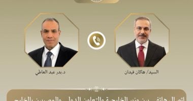 اتصال هاتفى بين وزيري خارجية مصر وتركيا