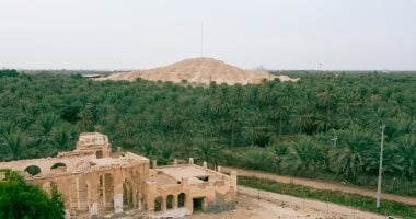 "واحة الأحساء" تبسط سلالها الغذائية الصيفية في الأسواق