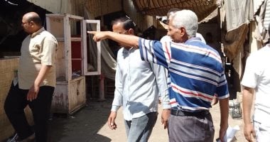 مدينة إسنا تنظم حملة لإزالة الإشغالات من السوق الحضري حتى كوبري القنطرة.. صور