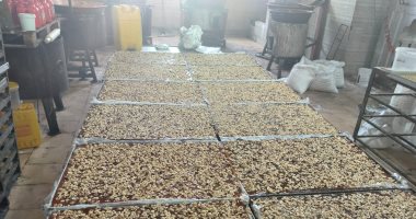 ضبط 30 طنًا و444 كجم خامات ومنتجات حلاوة المولد مجهولة المصدر بالإسكندرية