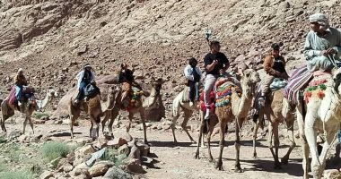 سانت كاترين تستقبل 420 زائرًا وسط انتعاش السياحة الدينية والبيئية