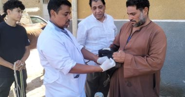 بيطرى الأقصر تنظم قافلة مجانية بقرية العديسات لفحص وتحصين الماشية والأغنام