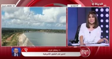خبير لـ الساعة 6: مصر تمتلك آليات وطنية لدعم التنمية في القارة الأفريقية