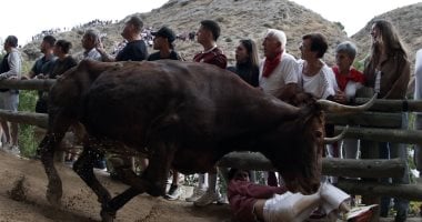 مغامرات على مسار جبلي منحدر بطول 800 مترا.. فعاليات مصارعة الثيران فى إسبانيا