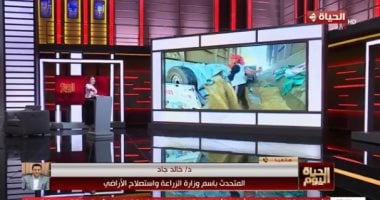 الزراعة لـ الحياة اليوم: إنتاج القمح يتجاوز 10 ملايين طن لأول مرة في مصر
