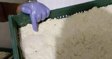 ضبط مصنع جبنة موتزاريلا يستخدم الصودا الكاوية داخل حظيرة مواشي بالفيوم