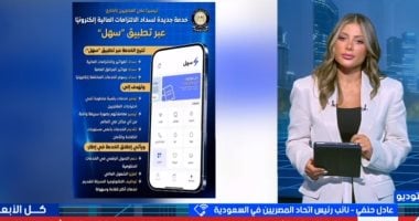 عادل حنفى لإكسترا نيوز: تطبيق سهل يتيح للمصريين بالخارج سداد الفواتير إلكترونيا