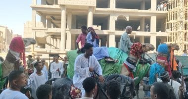 بالجمال والعصا.. المئات من أبناء دشنا بقنا يحتفلون بالمولد النبوى