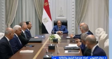 أستاذ بهندسة البترول: مصر تعزز تأمين احتياجاتها من الطاقة