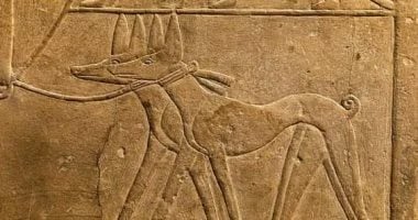 يوم الكلاب العالمى.. المصريون القدماء اعتنوا بها ودفنوها بمقابر الأسرة