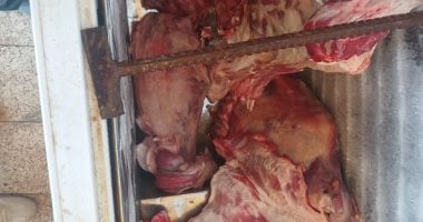 صحة سوهاج تضبط كمية من اللحوم المذبوحة خارج المجازر وغير صالحة للاستهلاك