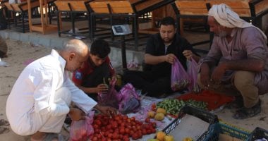 من المزرعة إلى السوق.. عربات نقل تنقل خير سيناء إلى سوق الأربعاء بمدينة السلام