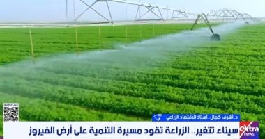 أستاذ اقتصاد: سيناء تتحول إلى قاعدة للإنتاج والتصدير