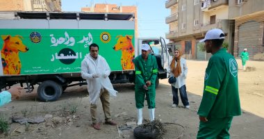 محافظ الدقهلية يكلف الطب البيطري بحملة مكثفة لمواجهة الكلاب الضالة والسعار بطلخا