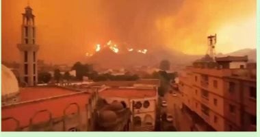 مشاهد إنسانية فى قلب ألسنة النيران بالجزائر..الأهالى يتسابقون لعون المتضررين.. والمساجد تصدح بتكبيرات الأذان وسط ألسنة نيران الحرائق.. والحيوانات تكافح الحرائق بطريقتها الخاصة.. (فيديو )