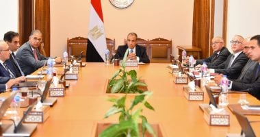 وزير الخارجية يتابع مستجدات إنشاء منصة إلكترونية لخدمة للمصريين بالخارج