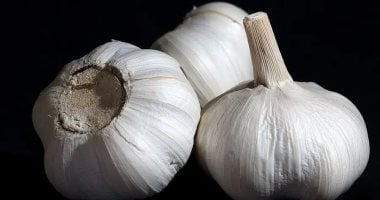 العلاج اللاذع: الثوم فى الطب والثقافة اليونانية القديمة