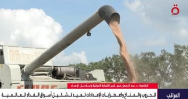 خبير تنمية مستدامة: تخزين الغذاء عالميا أدى لندرة المواد الغذائية المعروضة