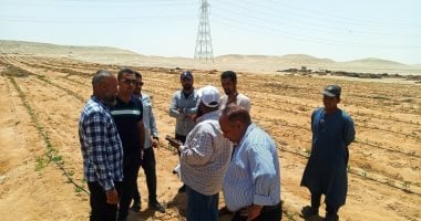 ثمرة جديدة للتعاون المصرى الصينى.. مدينة نسيجية بالمنيا توفر 250 ألف فرصة عمل
