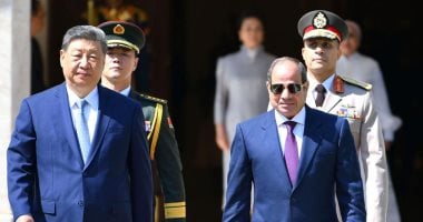  السيد الرئيس عبد الفتاح السيسي