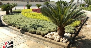 تشجير وميادين خضراء.. تطوير محيط مسجد السيدة عائشة وسور مجرى العيون