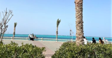 طقس مطروح اليوم الأربعاء 2-9-2026 حار نهارا معتدل ليلا 