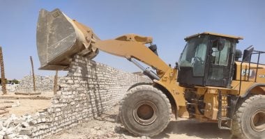ضمن الموجة 30.. إزالة 73 حالة تعدى على أراضى الدولة والزراعة بقنا