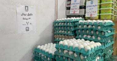 طرح كرتونة البيض بـ70 جنيها فى معرض أهلاً مدارس بشارع فيصل
