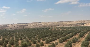 أحمد إمبابي: تنمية سيناء تمثل عبورًا جديدًا بعد انتصار أكتوبر