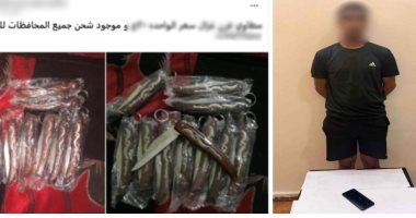 الداخلية تضبط أدمن صفحة لبيع الأسلحة البيضاء أون لاين