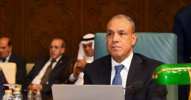 وزير الخارجية بدر عبد العاطي